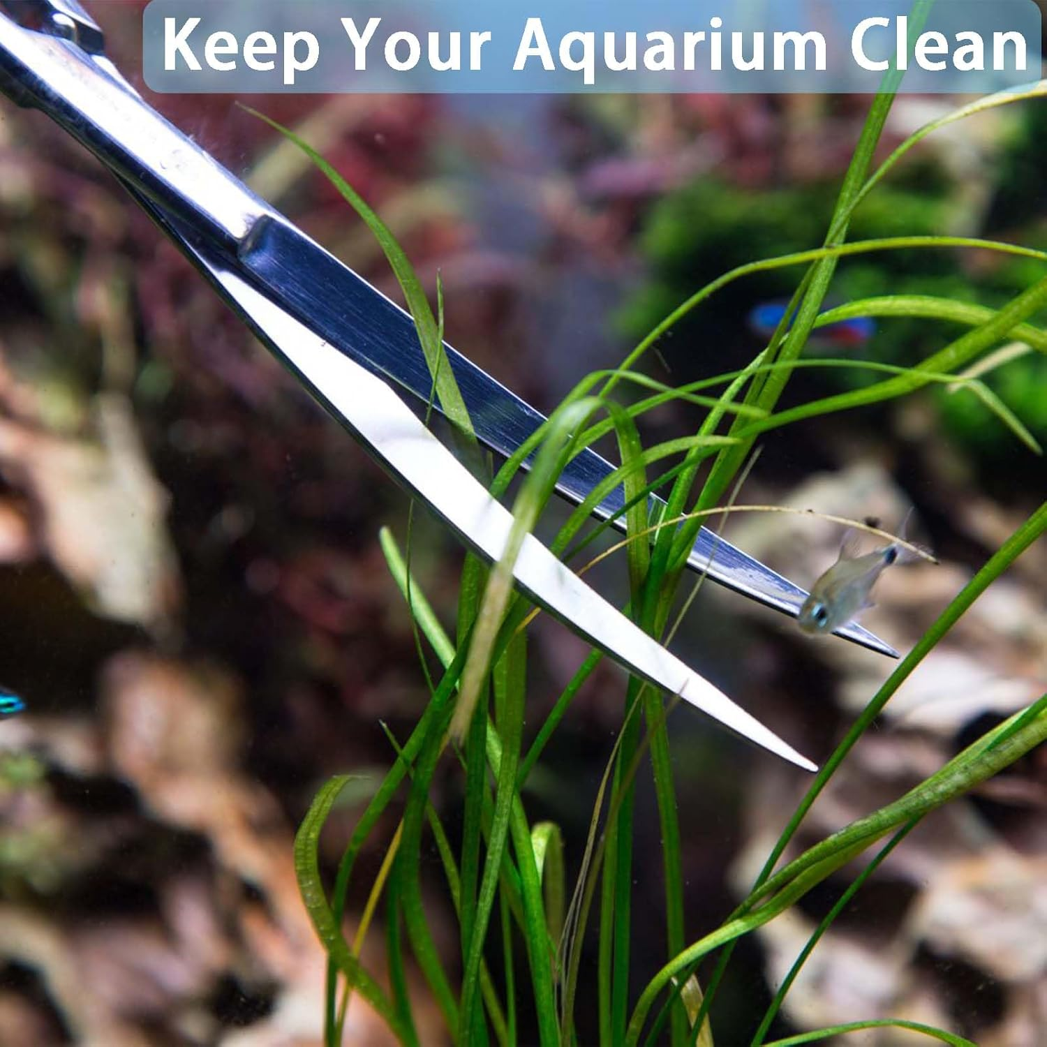 8 Pcs Aquascape Tools,Fish Tank Cleaning Kit,Aquarium Cleaning Tools Include Aquarium Long Tweezers,Fish Tank Siphon,Gloves and Storage Pouch for Aquariums Tank and Terrarium image number 6