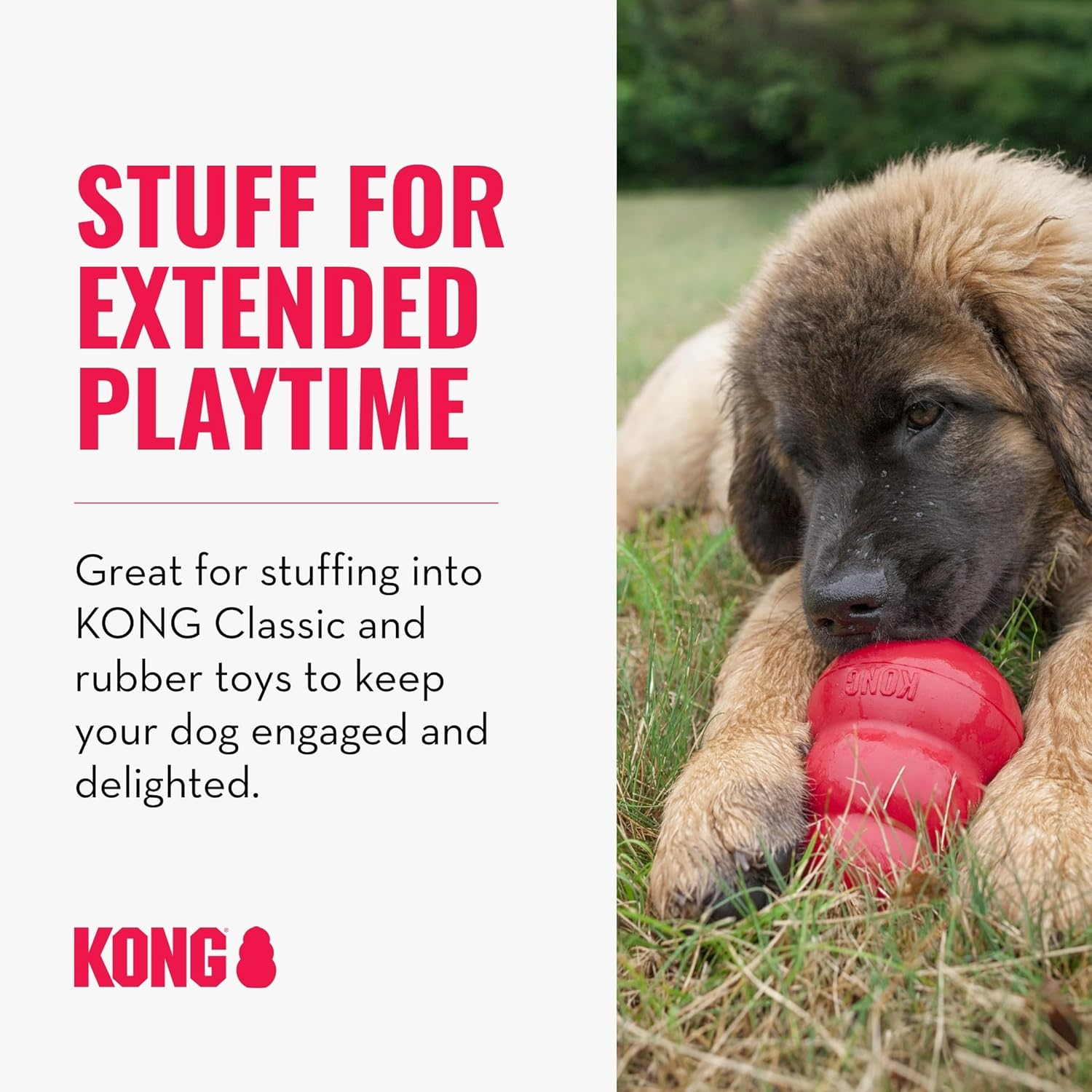 KONG - Farmyard Friends - All Natural Dog Treats (Best Used with KONG Classic Rubber Toys) - BBQ Chicken image number 1