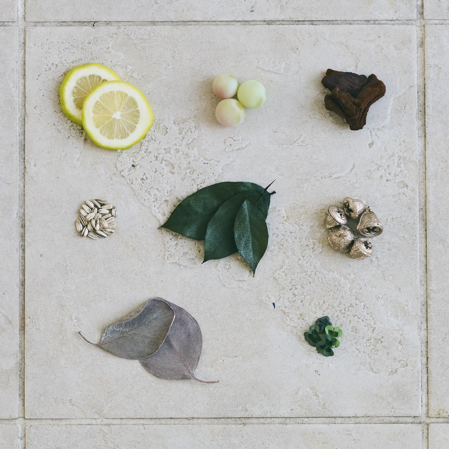 COMET & WHINNY Treatment 10.1 Fl Oz (300 Ml) image number 3