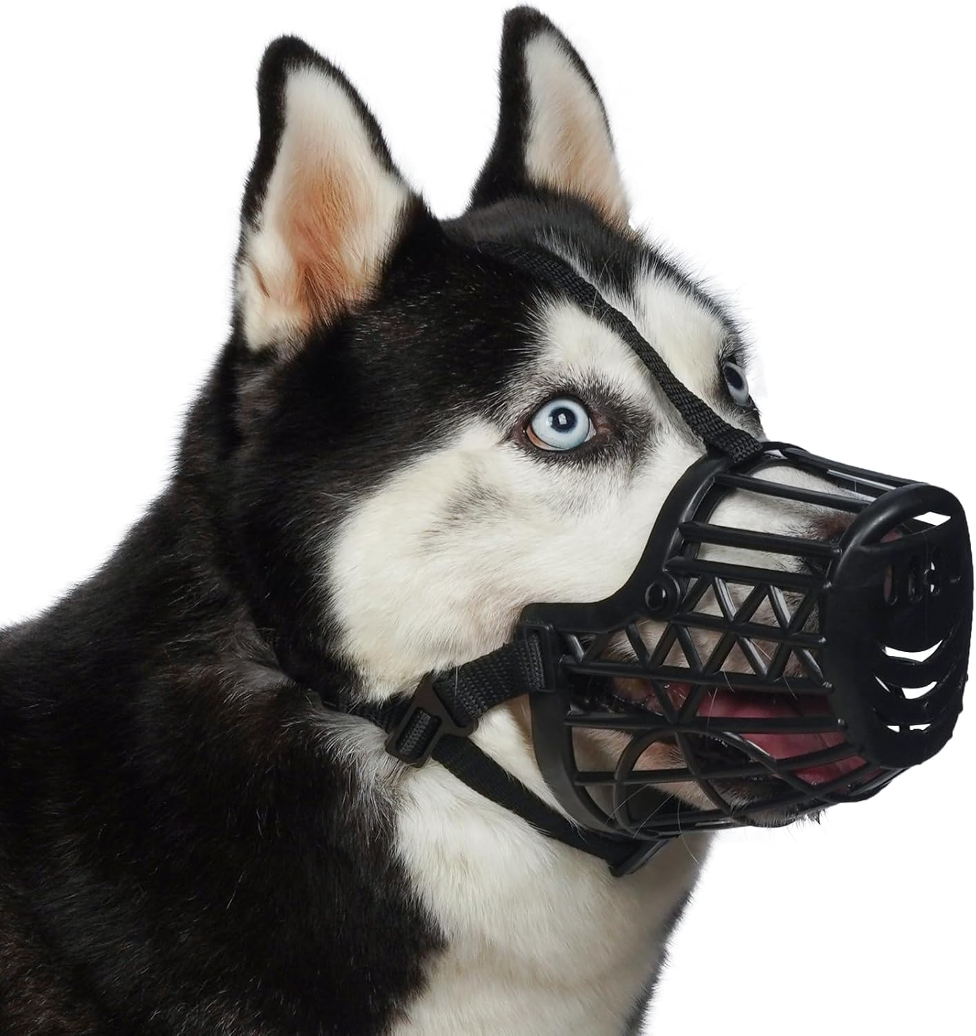 Basket Dog Muzzle for Large Medium Small Dogs, Cage Muzzles to Prevent Biting Chewing Licking Scavenging, Mouth Cover with Adjustable Strap for Vet Visits, Grooming, Walking (Size 2, Black)