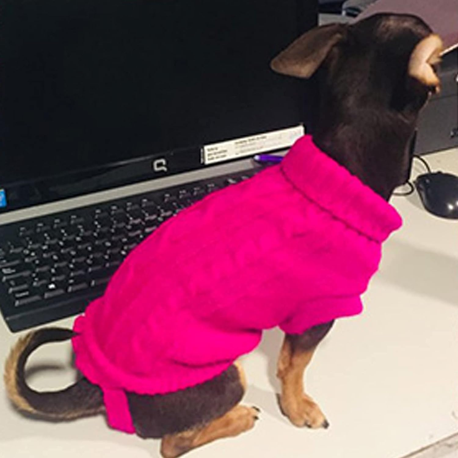 (Xs-Magenta) Small Dog Sweaters Knitted Warm Pet Cat Sweater, MH MOIHSING Soft Dog Jumpers Cute Turtleneck Knitwear Dog Sweatshirt Winter Puppy Coat Kitten Sweater Clothes for Small Dogs Doggie Cats image number 2