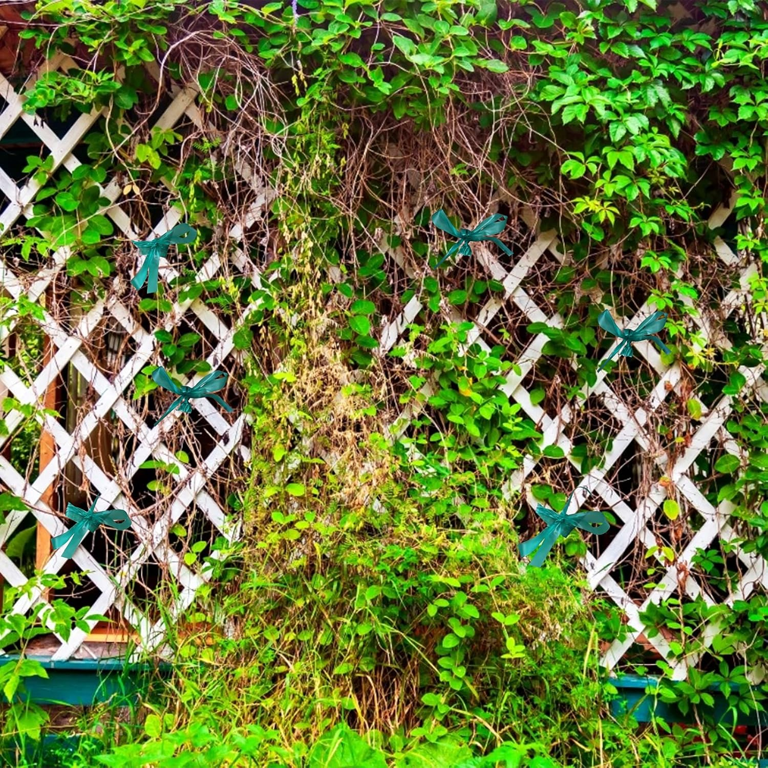 KINGLAKE GARDEN Stretch Tie Tape Roll-2 Rolls Total 295 Feet 1/2" Green Plant Garden Tie for Branches, Climbing Planters, Flowers