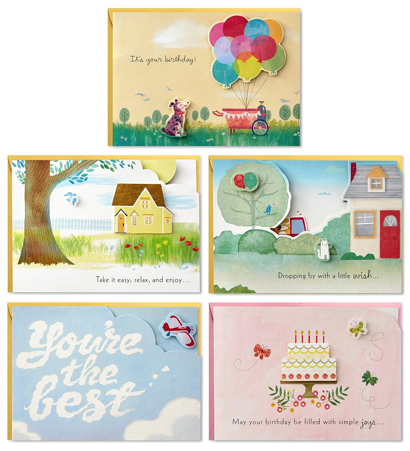 Hallmark Shoebox Maxine All Occasions Card Assortment (6 Cards with Envelopes), Model:1599Rzg1001