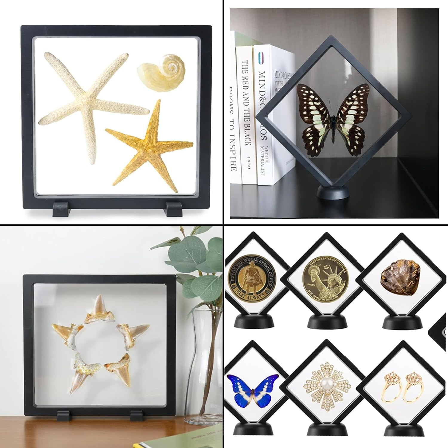 2Pack Shark Tooth Holder, Sealed Box for the Shark Tooth Display Case, Shark Teeth Holder to Prevent Dust and Oxidation, 3D Floating Display for Shark Tooth Holder image number 5