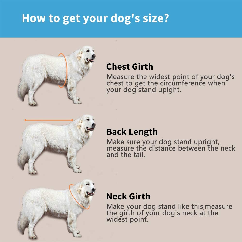 Snik-S Dog Life Jacket- Preserver with Adjustable Belt, Pet Swimming Shark Jacket for Short Nose Dog (Pug,Bulldog,Poodle,Bull Terrier,Labrador) (XS, Blue) image number 1