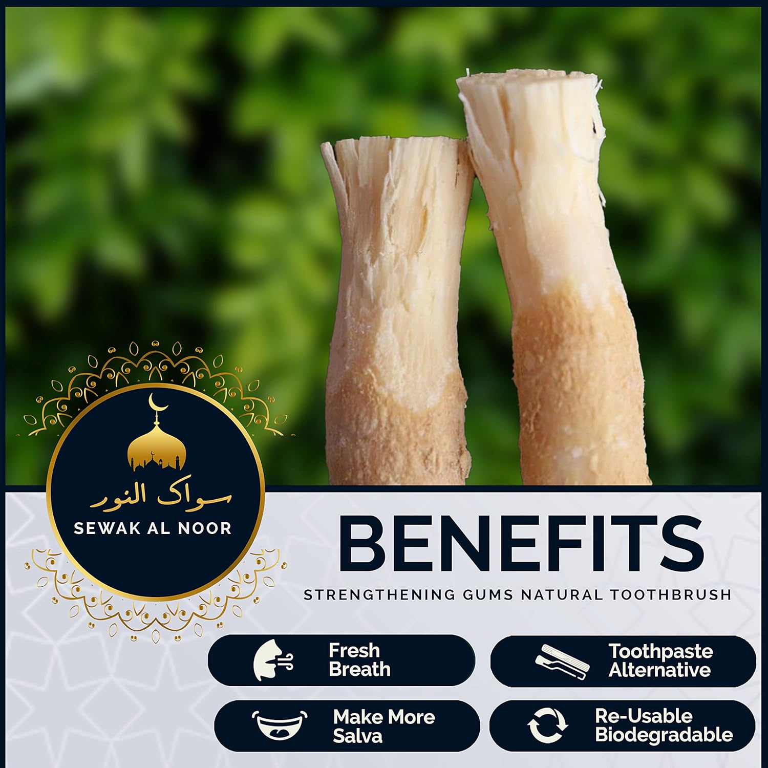 Sewak Al Noor Pack of 10 Miswak Sticks for Teeth with Holder - Vacuum Sealed Natural Flavored Chew Sticks for Humans - Natural Toothbrush for Teeth Whitening, Oral Health & Fresh Breath || Pack of 10 image number 1