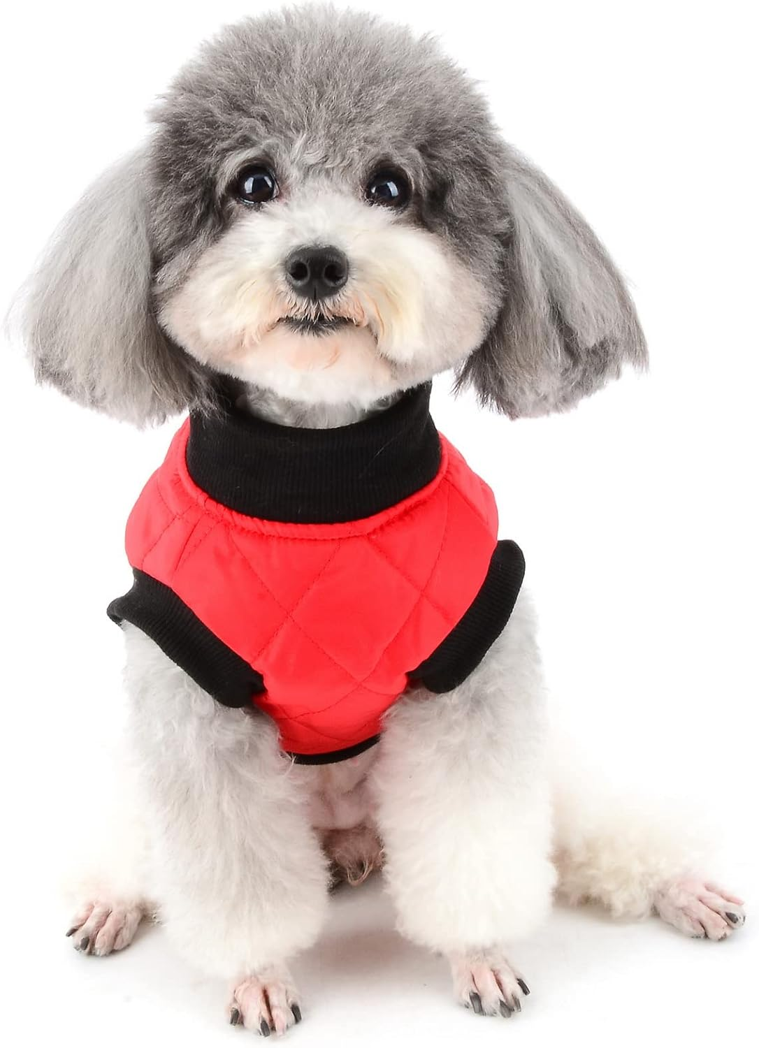 Zunea Small Dog Jacket with Harness Winter Coat Soft Warm Cotton Padded Puppy Harness Vest Clothes with Leash Rings Zipper Pet Clothing Cold Weather Outdoor Apparel for Chihuahua Doggy Girls Boys Red S image number 4