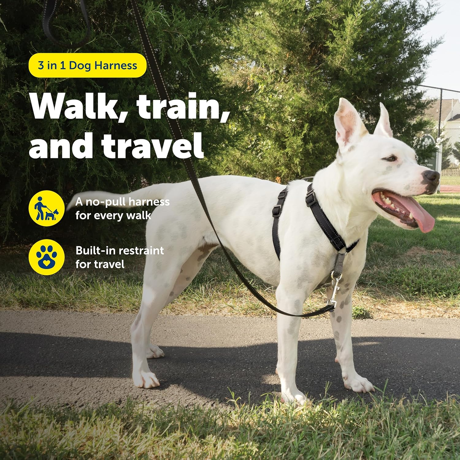 Petsafe 3 in 1 Dog Harness - No Pull Solution for Dogs - Reflective Dog Harness - Front D-Ring Clip Helps Stop Pulling - Comfortable Padded Straps - Top Handle Enhances Control - Black - Medium