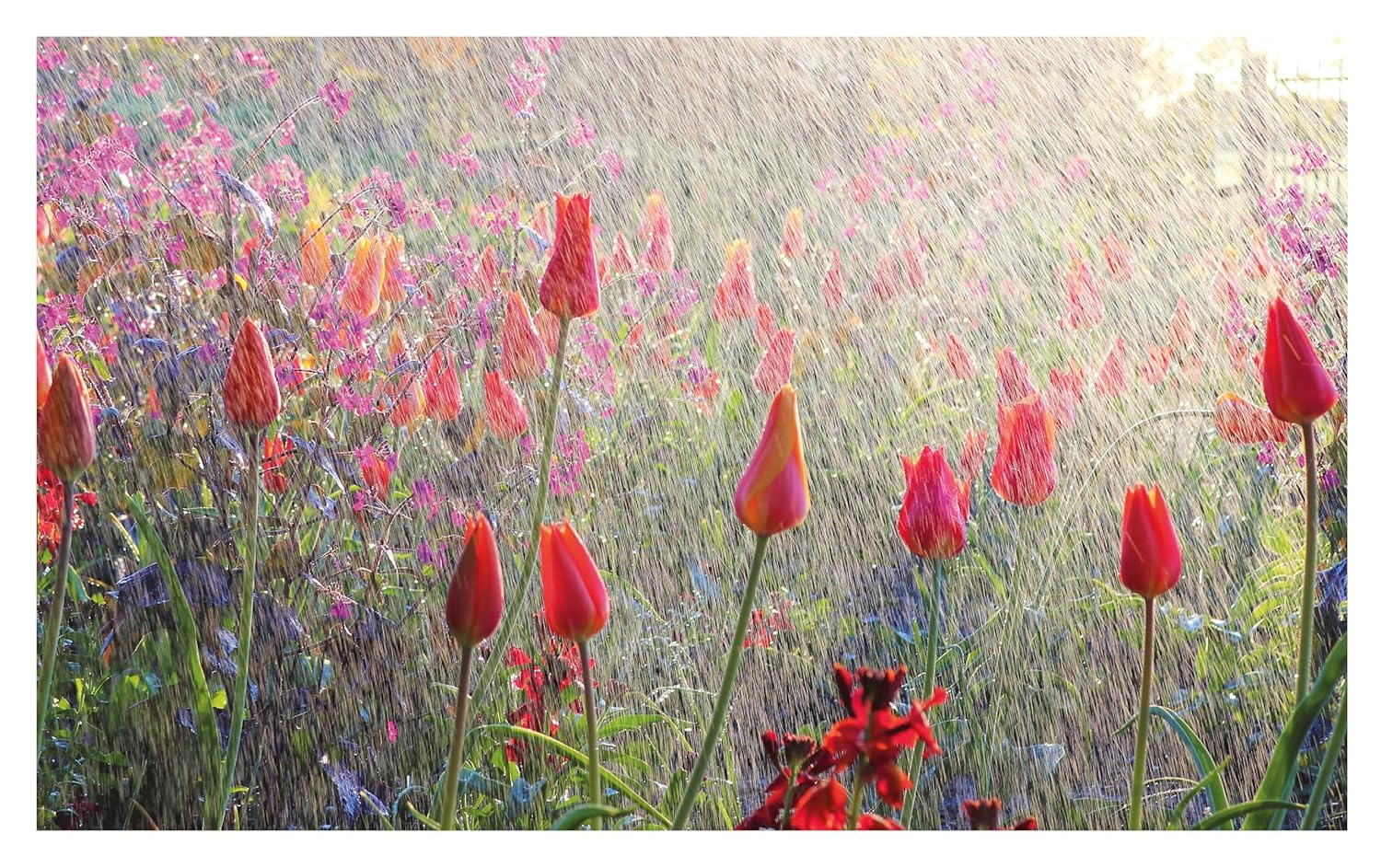 Grounded in the Garden: an Artist'S Guide to Creating a Beautiful Garden in Harmony with Nature