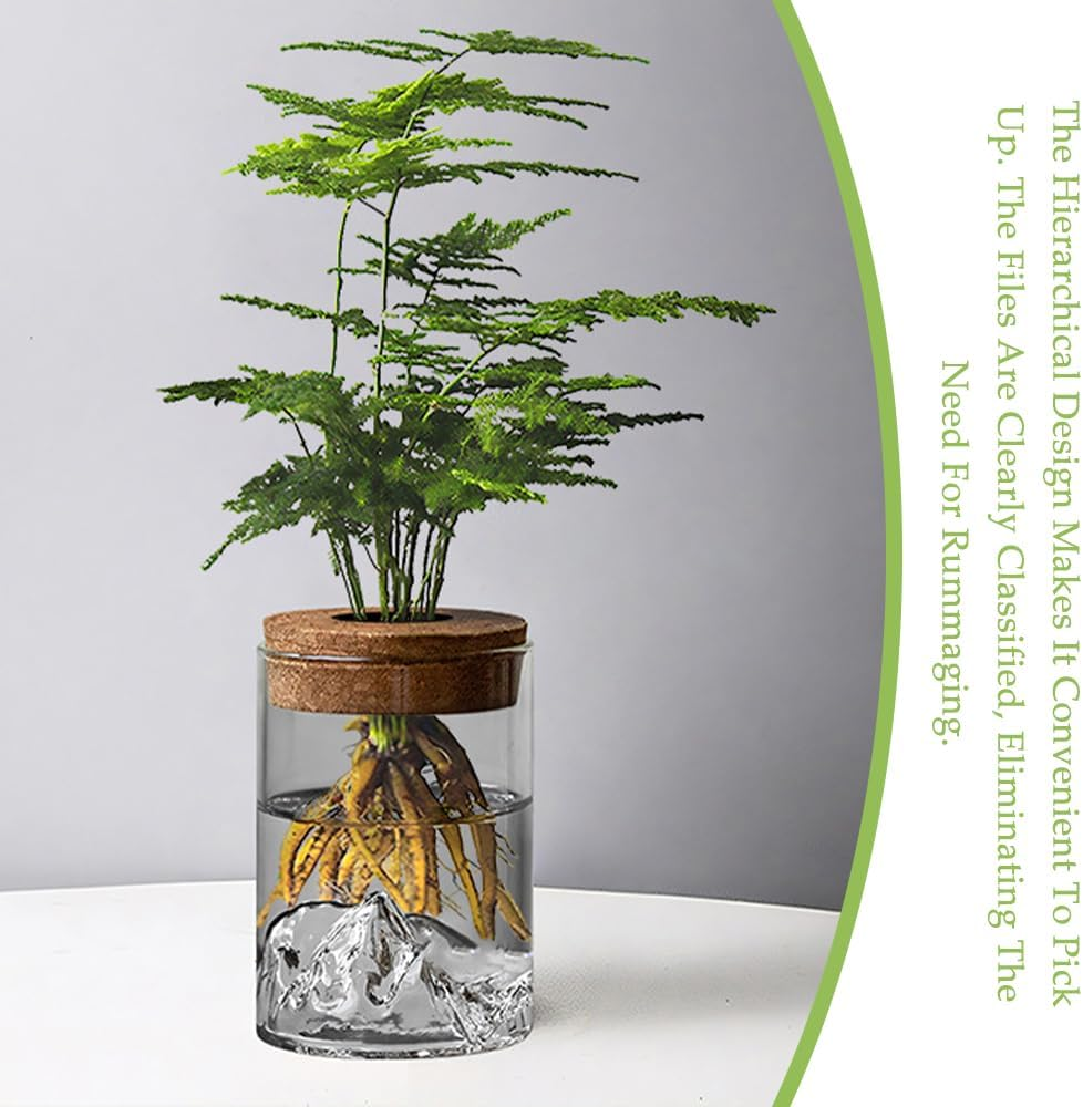 4-Pack Hydroponic Plant Pots, Office Desktop Pots, Glass Hydroponic Vase, Green Plants Ornament, Plant Propagation Station, Mountain View Bottle, for Bedrooms, Living Rooms, and Offices(No Plants)