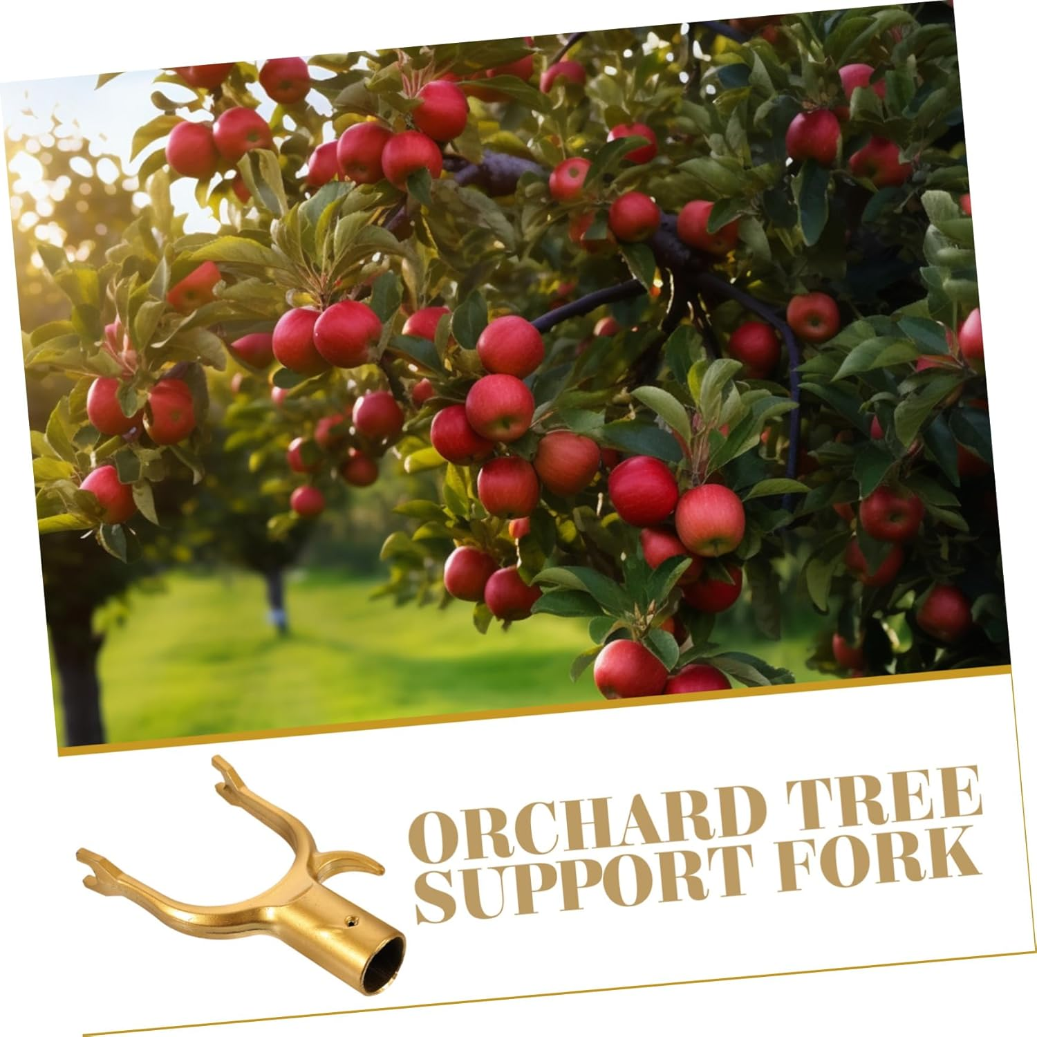 GAROZATION 8Pcs Plant Stem Support Racks Tree Braces for Gardening Plant Clips for Support Branch Straightening Tool Orchards Fruit Trees