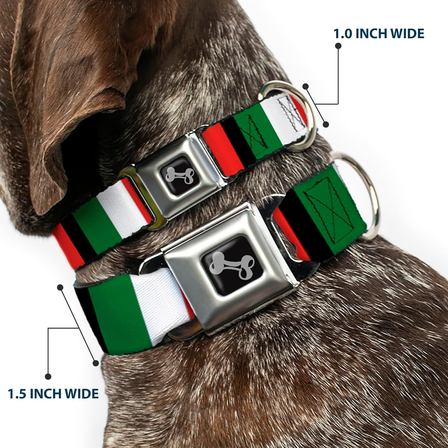 Dog Collar Seatbelt Buckle Italy Flags 11 to 17 Inches 1.0 Inch Wide image number 4