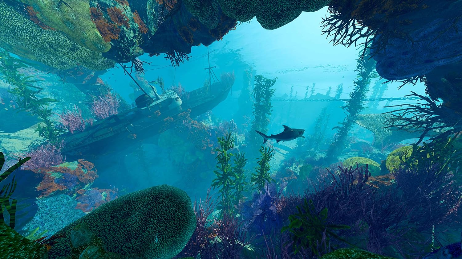 Maneater - Nintendo Switch image number 6