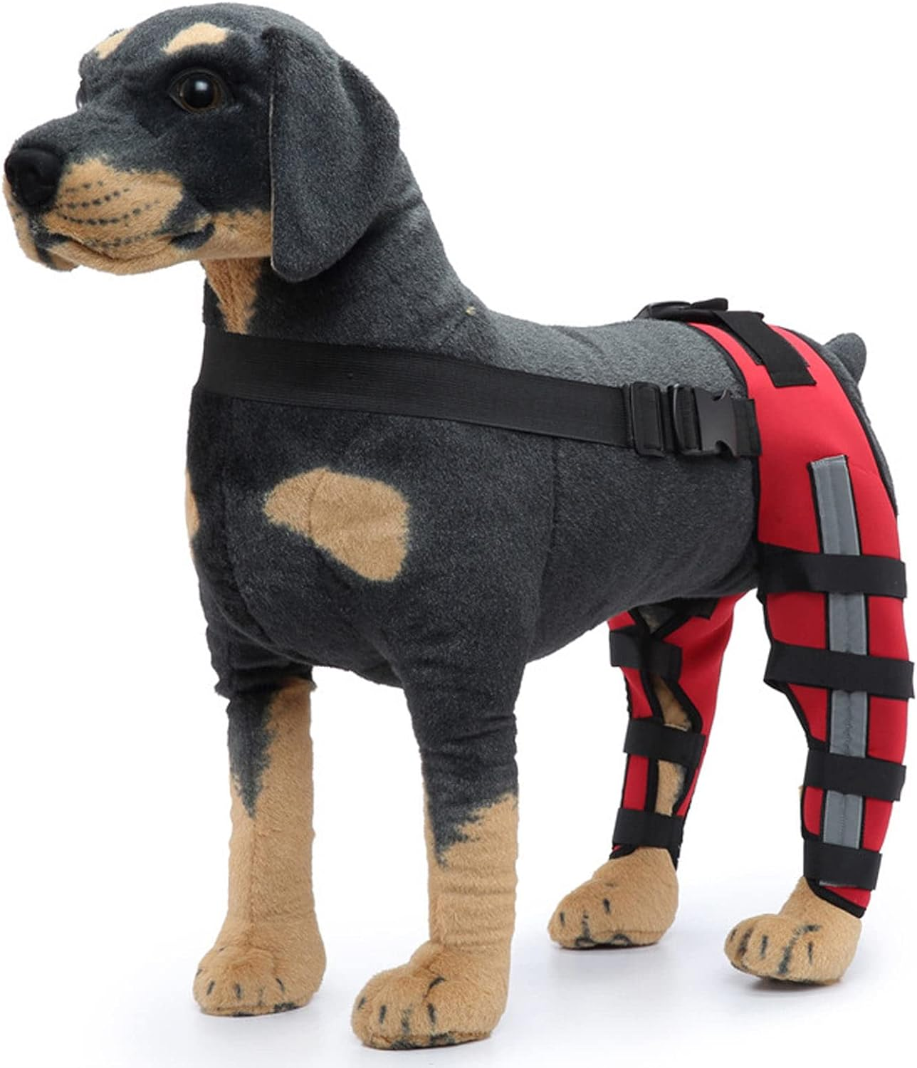 Dog Knee Brace, ACL Support for Leg Stability, Reflective Strips, Neoprene Material, Professional Design, for Large Medium Small Dogs (S) image number 3