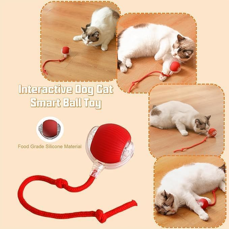 Pet Intelligent Rolling, Interactive Cat Toys, Activity Rolling Ball for Dogs, Motion Activated Automatic Moving, Electric Cat Toy Ball Rechargeable for Large Small Dogs (True Red)