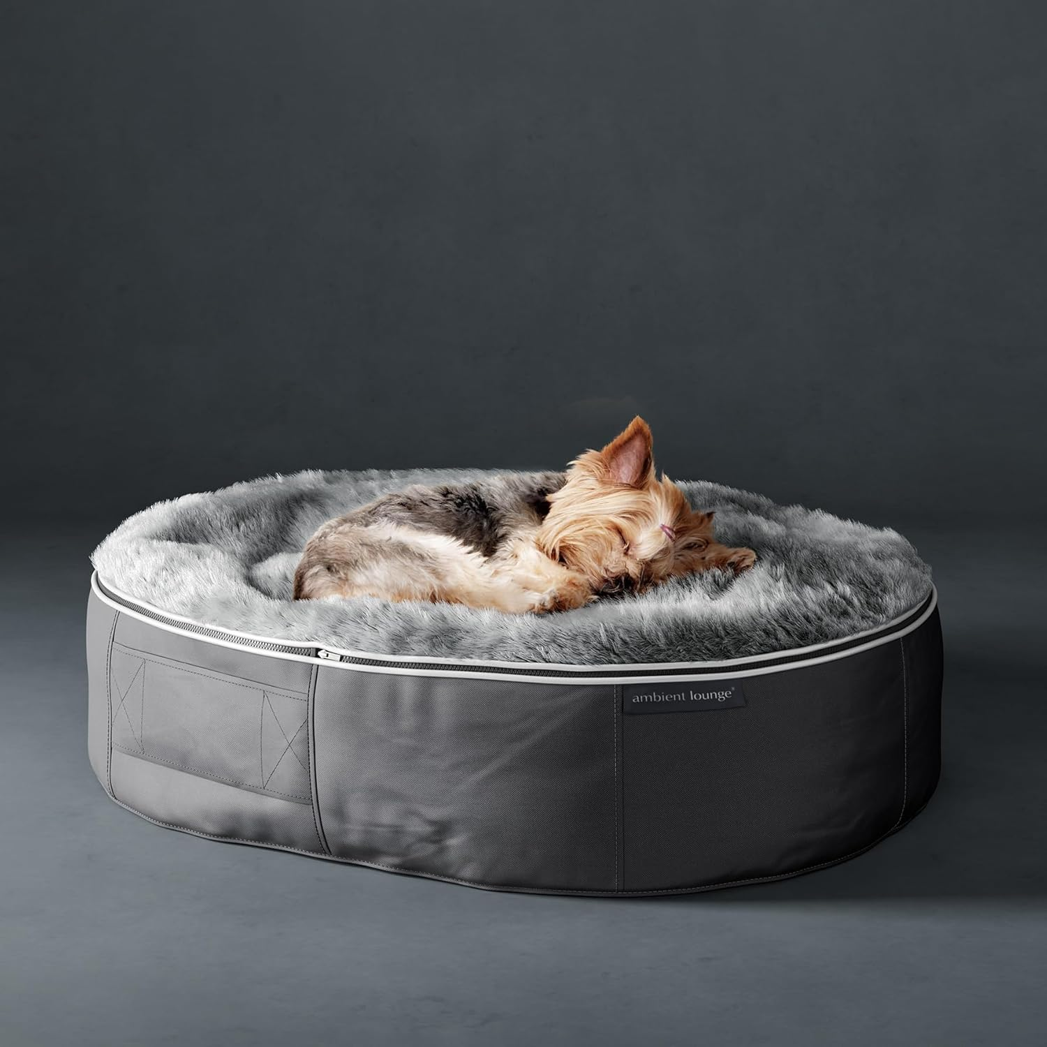 [Ambient Lounge Japan] Amazon Limited Pet Lounge, Wolf Gray, Washable, Dog, Cat, Bed, Luxury, S Size (Genuine Japanese Product, Made in Japan) Basic