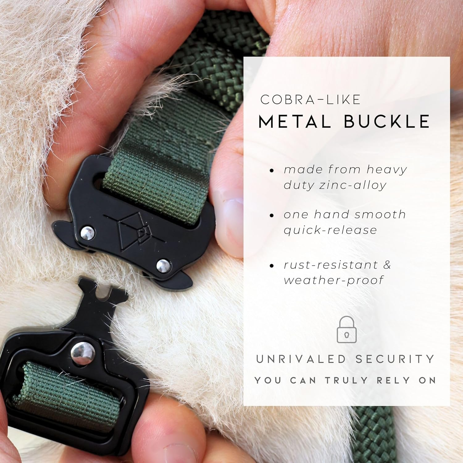 ROAM Premium Dog Collar - Adjustable Heavy Duty Nylon Collar with Quick-Release Metal Buckle (Colorado Nightsky, Size 1) image number 5