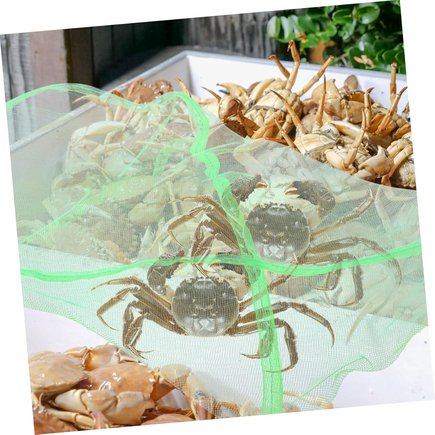 UKCOCO 10Pcs Portable Crab Catching Net Bags Lightweight Breathable Drawstring Mesh for Outdoor Fishing Storage image number 5