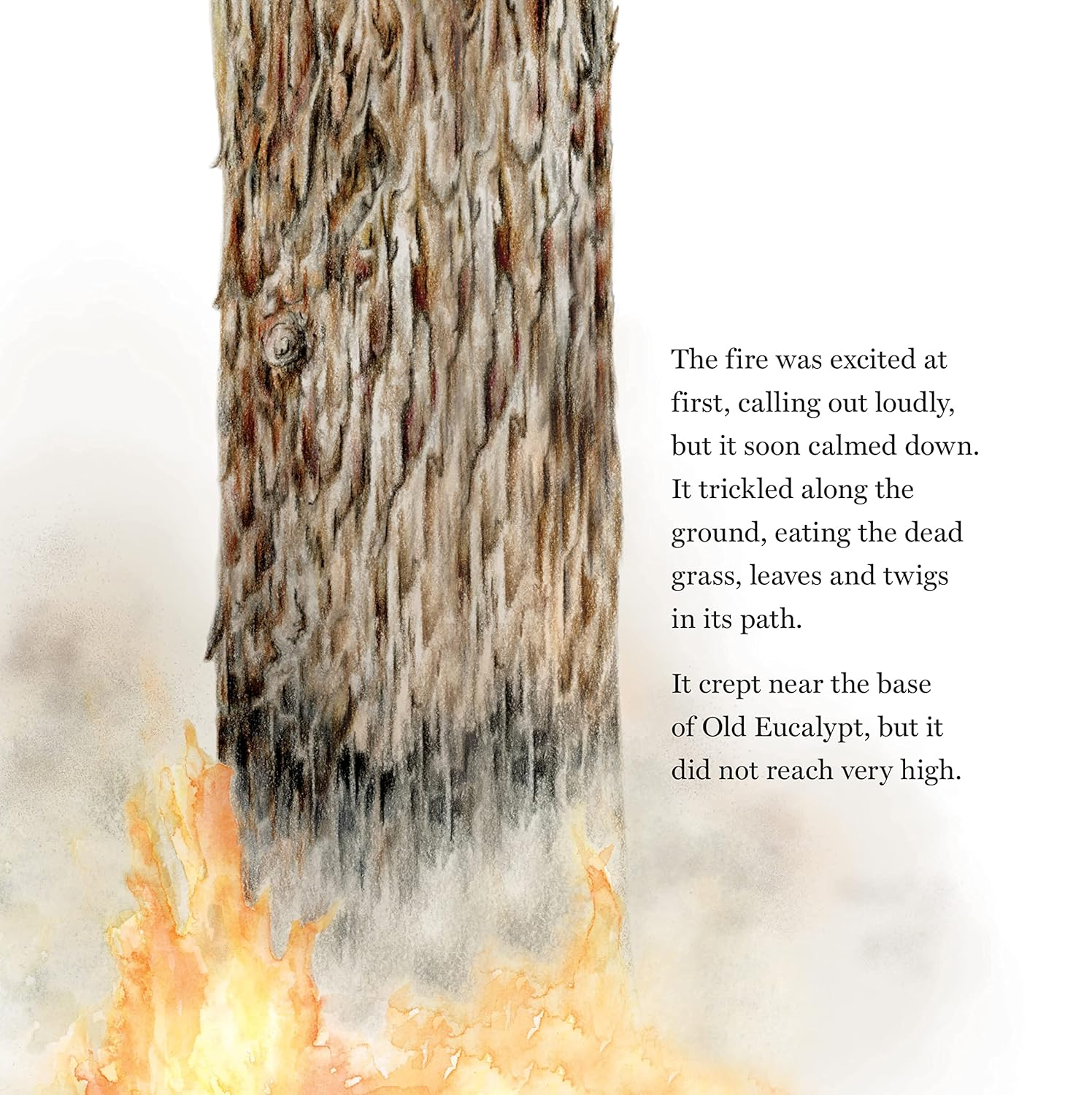 Alight: a Story of Fire and Nature image number 3