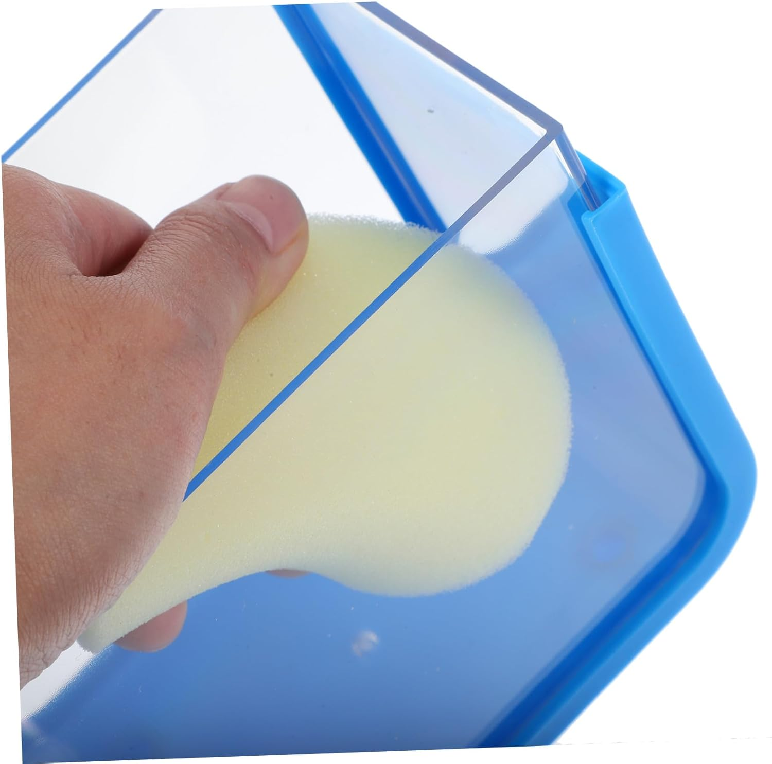 Milisten Mini Plastic Fish Battle Box with Light, Detachable Small Aquarium Breeding Isolation Tank, Blue Desktop Ecological Landscape Fish Tank for Aquatic Pets image number 2