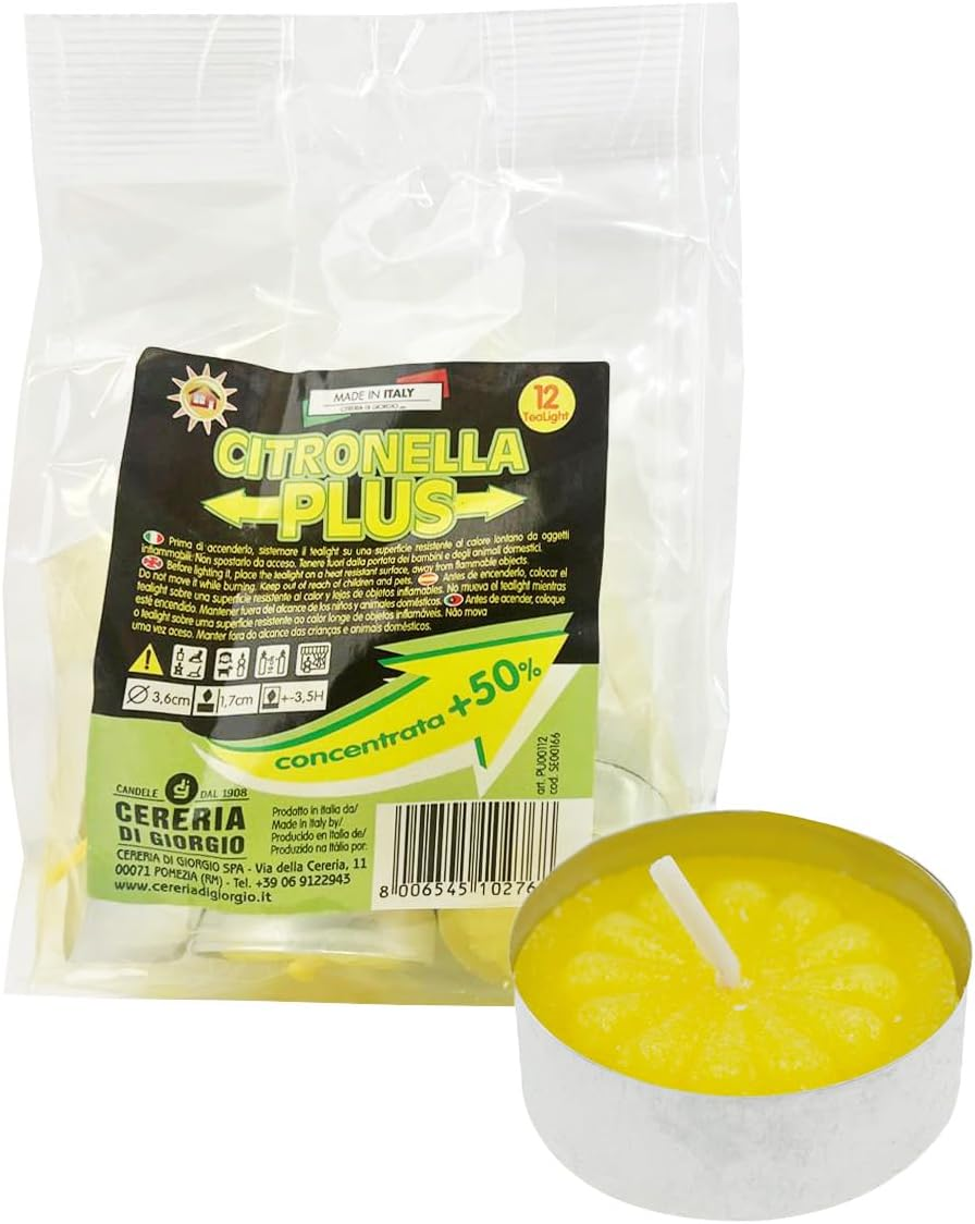DG Citro plus PZ12 Tea Lights image number 2