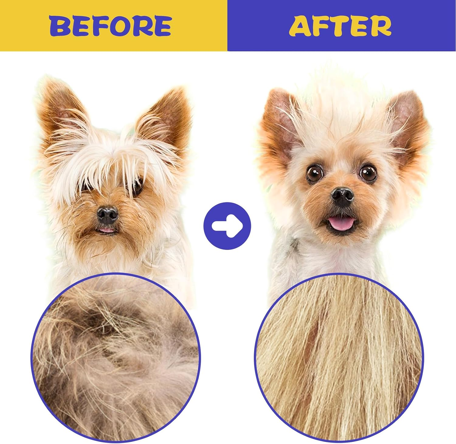 6 Pieces Stainless Steel Teeth Pet Lice Comb Set,Flea Comb for Cats & Dogs,Pet Grooming Comb for Pets Gently Removing Knots and Lice, Flea Comb for Small & Medium Pets(Blue,Pink) (Blue)