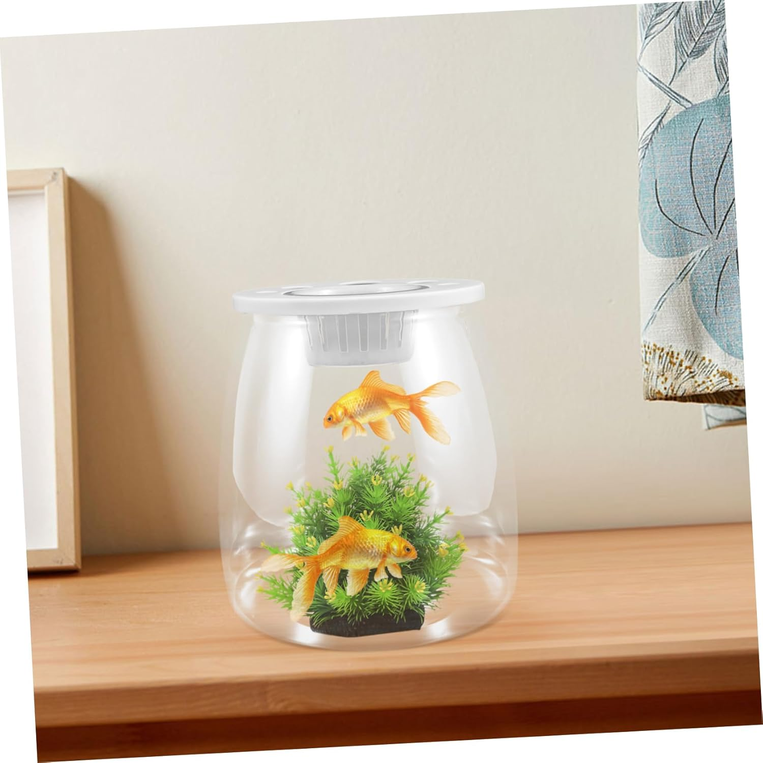Transparent Small Fish Breeding Box Tank for Home Office Decor for Small Aquatic Pets and Reptiles Space-Saving Design for Any Environment image number 3