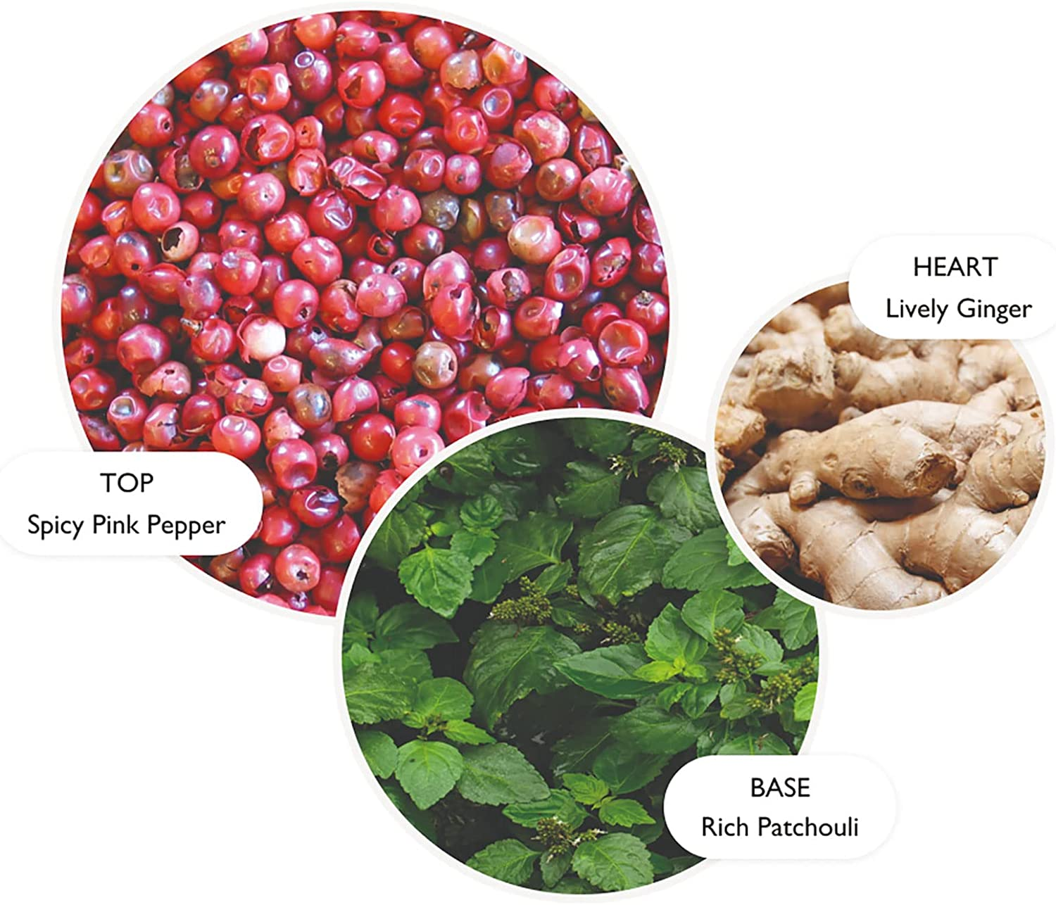 Molton Brown Fiery Pink Pepper Hand Lotion image number 5