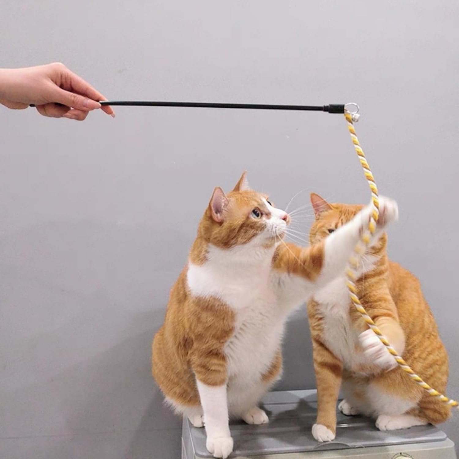 Colorful Cotton Rope Cat Teaser Toy Set - 3 Pack Interactive Wand Toys for Cats - Plush image number 2