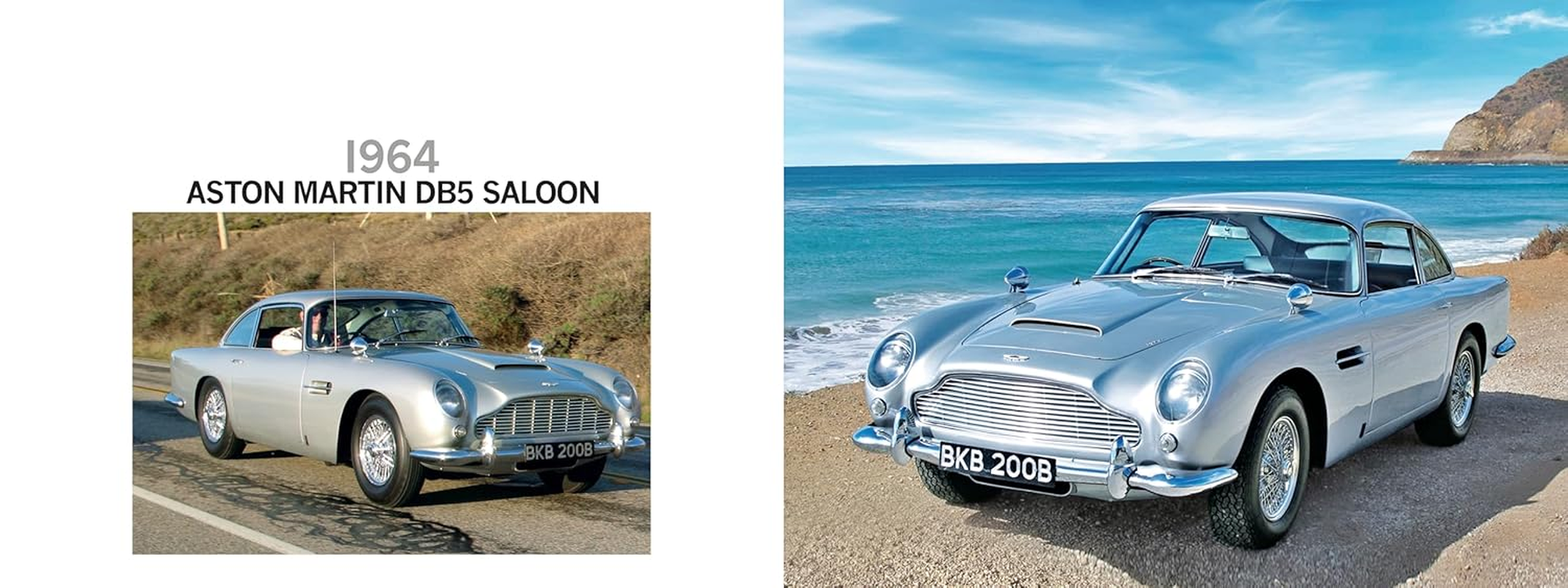 Silver Surfers image number 5