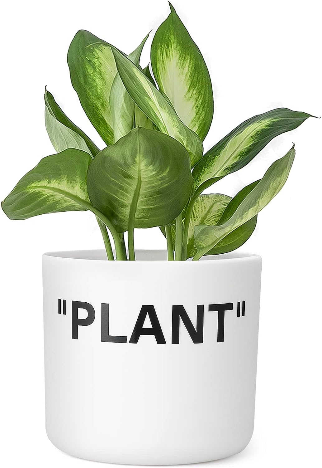 Twodays Off-White Inspired Sneaker Planter, Hypebeast Room Decor, Small 5 Inch Cylinder White Plastic Indoor Plant Pot with Built in Drainage Hole, Mini Flower Pot, Sneakerhead Gift.