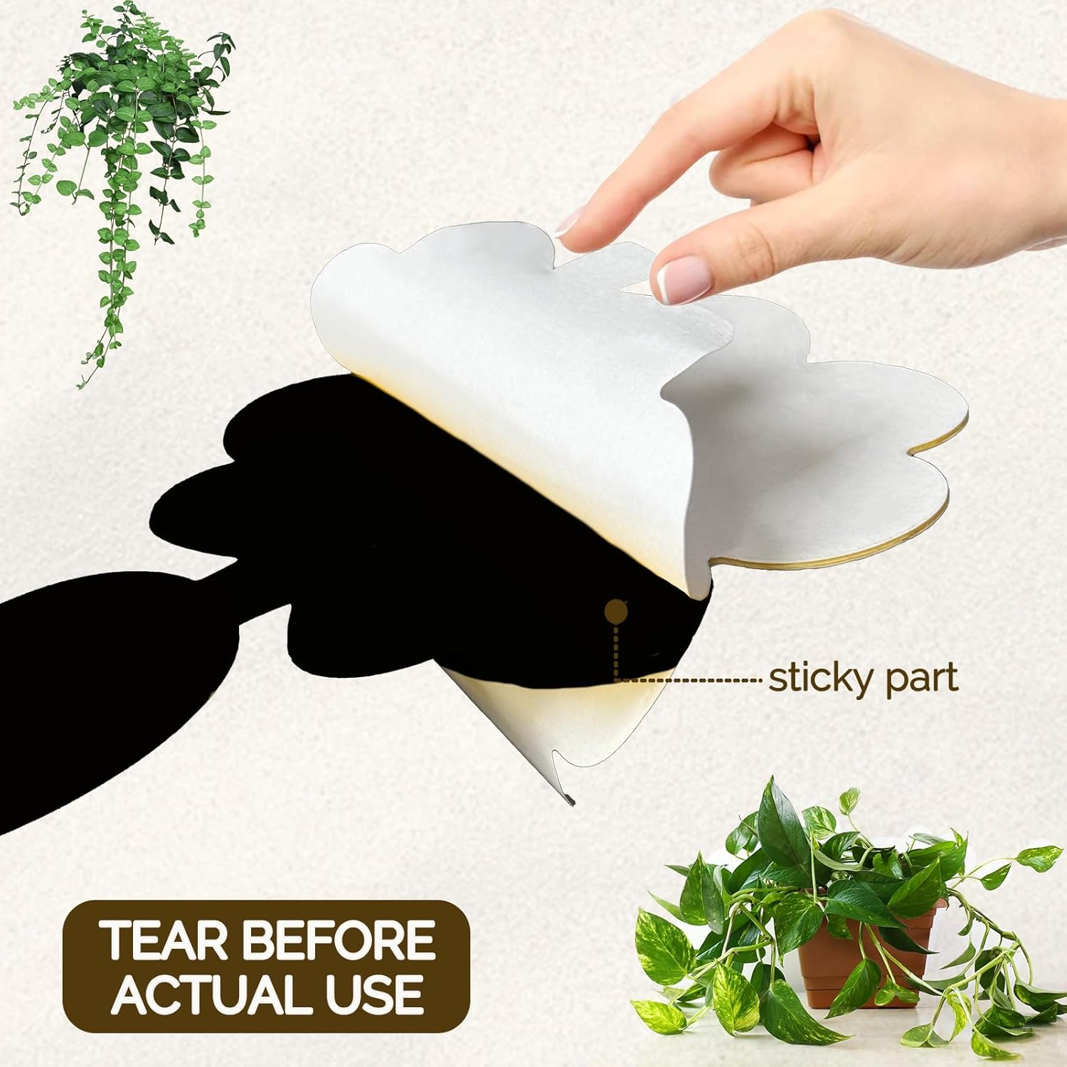 60Pack Gnat Trap Sticky, Fruit Fly Trap for Files Moths Mosquito, Waterproof Fly Trap, Non-Toxic, Harmless and Odorless, Friendly to Pets and Humans, Indoor and Outdoor Use, Black image number 1