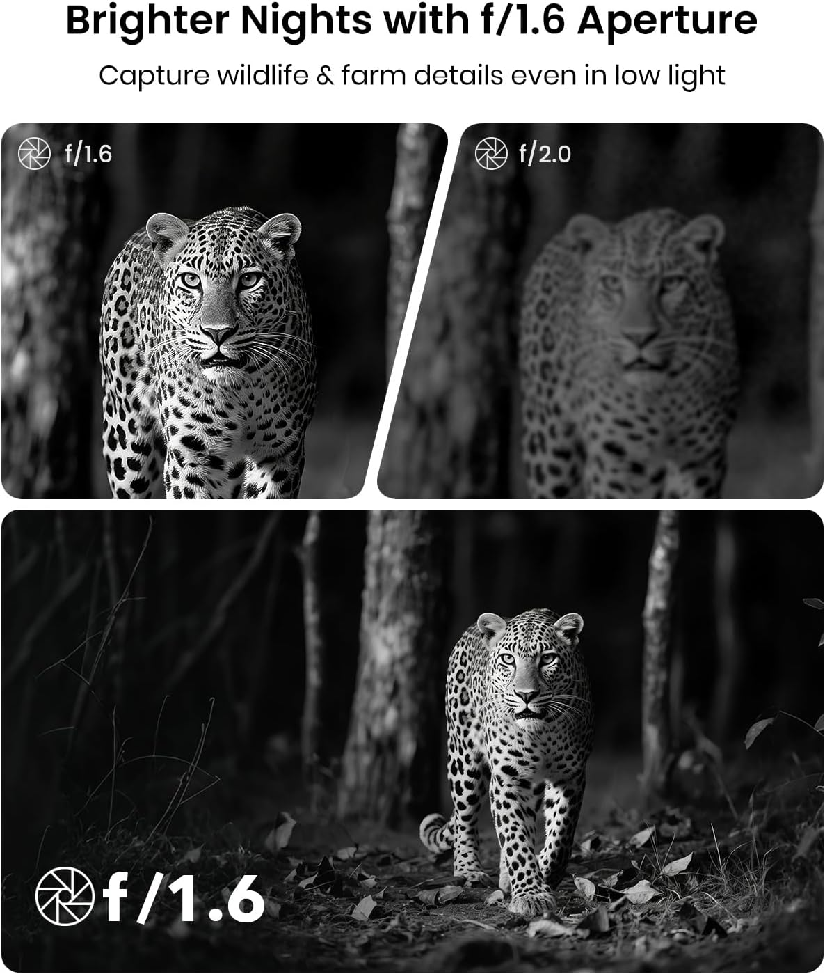 Misstech 4K UHD Solar Trail Camera &ndash; 0.1S Motion Trigger to Capture Fast Animals, Wildlife Monitoring & Game, 64MP/4K Clear Night Vision, No Monthly Fee, App Control, IP66, with 32GB SD Card image number 4