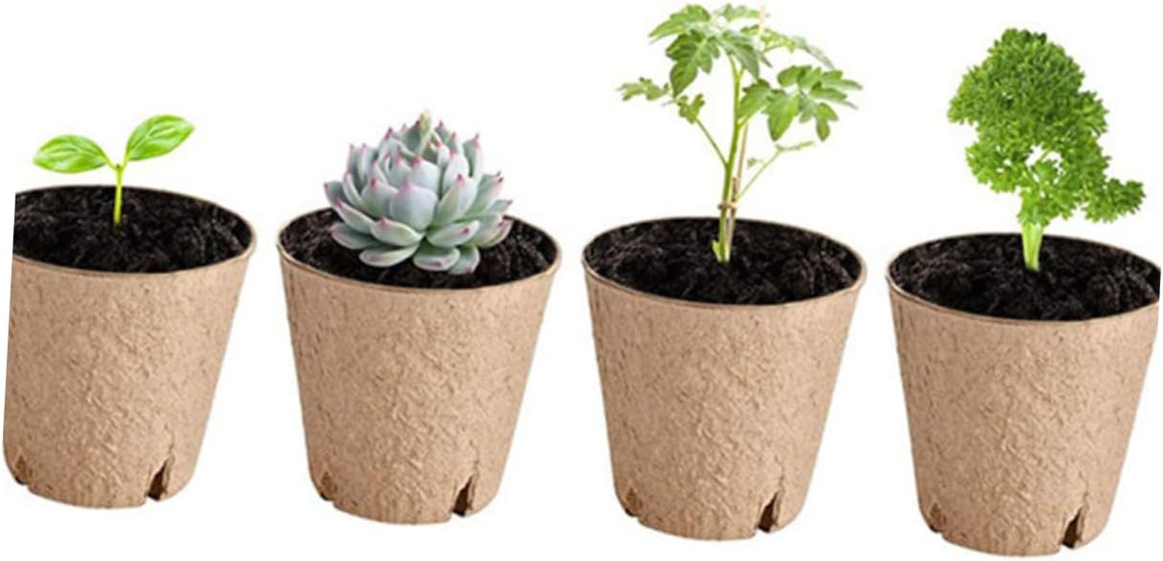 YARNOW 50Pcs round Paper Pulp Pots for Germination Planting Baskets Drainage Nursery Containers for Indoor and Outdoor Gardening image number 6