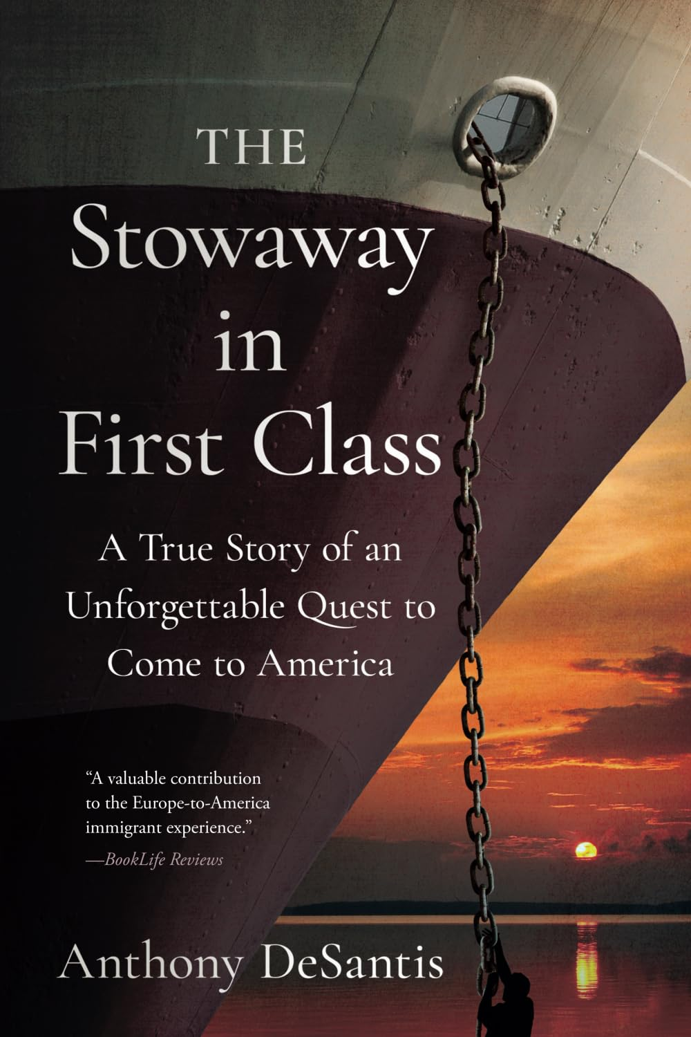 The Stowaway in First Class: a True Story of an Unforgettable Quest to Come to America image number 1