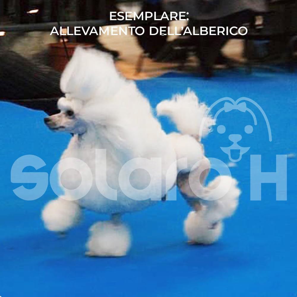 Solaro H Shampoo Ultra Soft 500 Ml Detangler Nourishing and Polisher image number 1