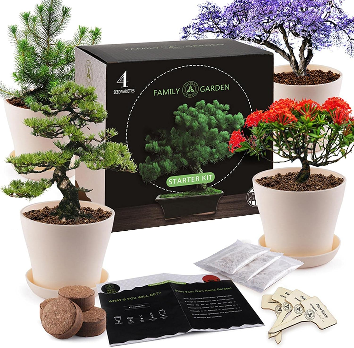 Mini Bonsai Herbs Growing Kit, Indoor Herb Plant Planting Kit, Novice Gardening Growth Kit, Indoor Plant Growing Starter Kit, DIY Kitchen Grow Kit for Women & Men image number 5