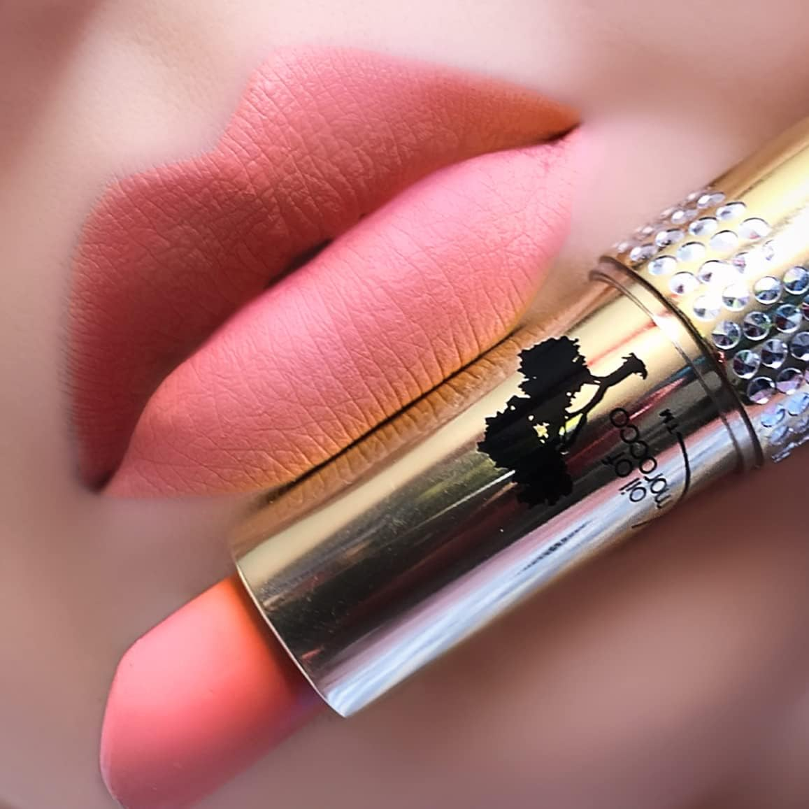 Silk Oil of Morocco Argan Vegan Lipstick, Watermelon - Butterscotch image number 5