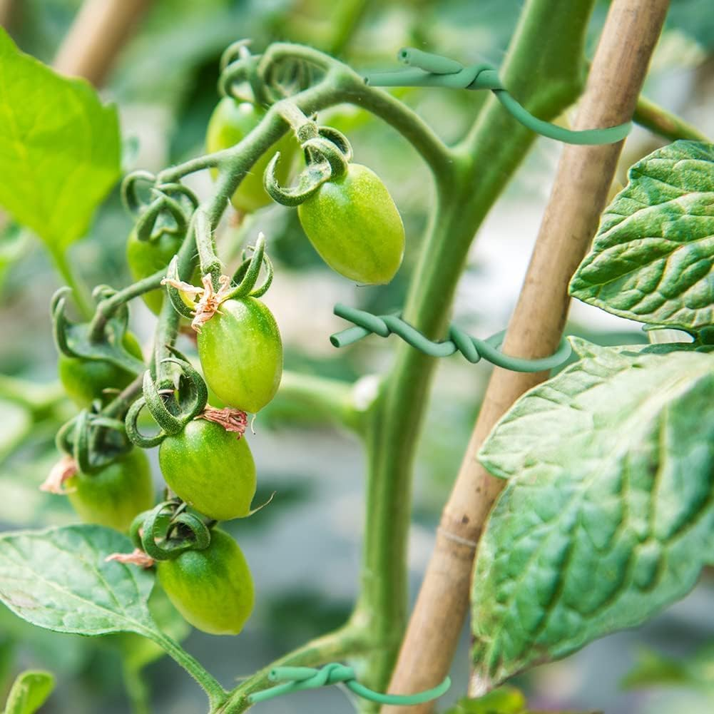 KINGLAKE GARDEN Flexible Soft Wire Ties Soft Garden Plant Ties 3.5Mm 65.6 Feet Green Plant Ties Garden Twist Ties Heavy Duty Garden Wire for Plants image number 2