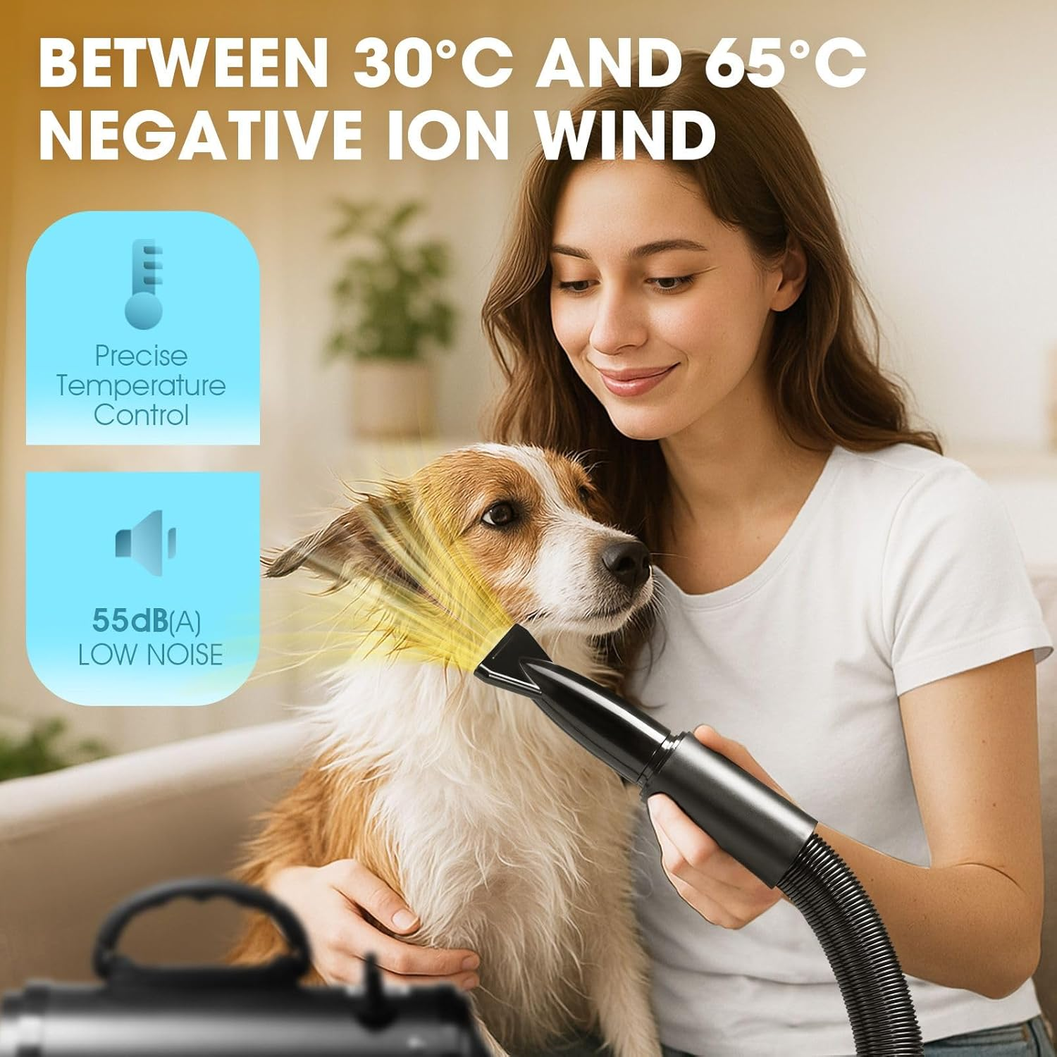 Pet Scene Dog Cat Hair Dryer Pet Grooming Kit with 4 Nozzles Blow Hairdryer Blower Heater Air Blaster Low Noise Adjustable Speed Temperature Negative Ion Wind