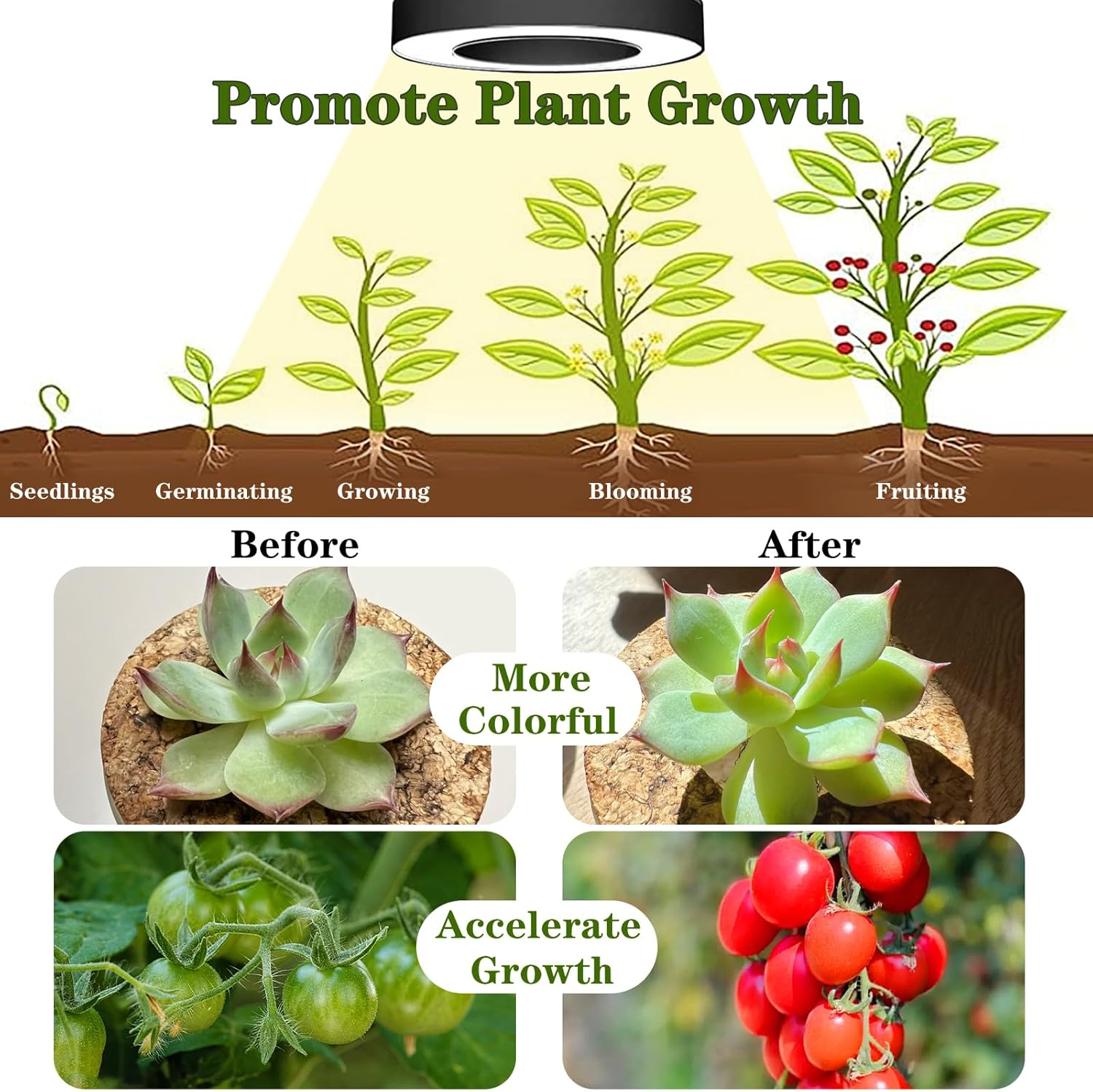 Plant Grow Light 2Pack, LED Growing Lamp Full Spectrum for Indoor Plant, Height Adjustable Plant Light with Auto On/Off Timer 3/9/12H,4 Dimmable Brightness, Ideal for Small Plant (Black) image number 4