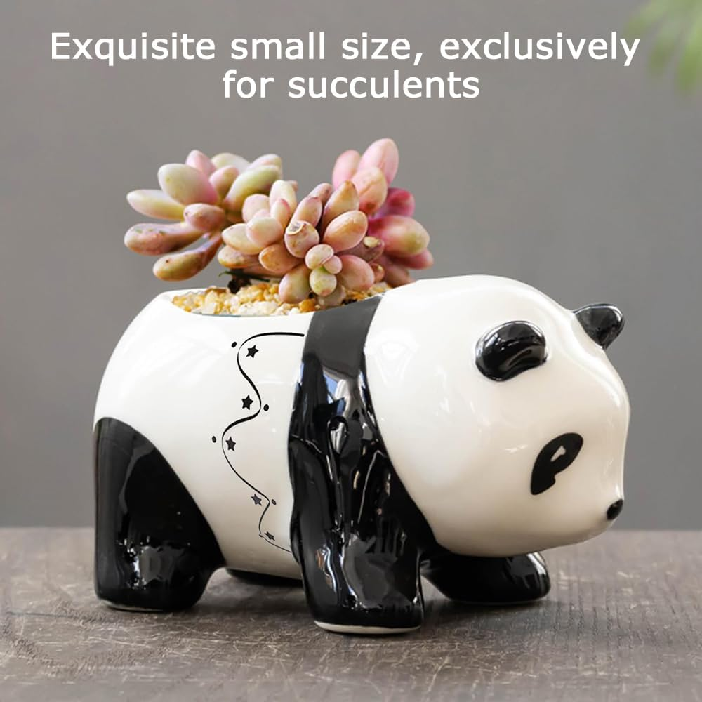 Panda Succulent Plant Pot, Creative Cartoon Flower Pot, Portable Mini Flower Pot, Cactus Container with Drainage Hole, Flower Pot for Indoor and Outdoor Use Home Office ﻿ image number 5