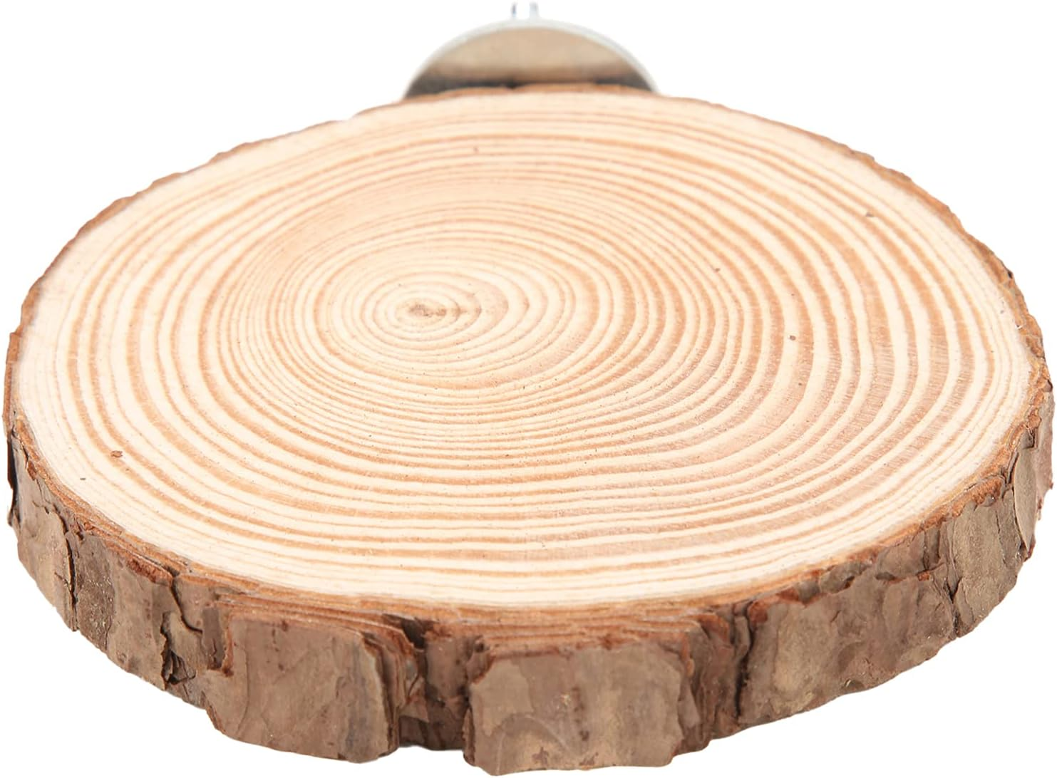 Round Wooden Stand Perch, Platform Bird Stand for Small Animals Budgie Conure Parakeet Cockatiel Lovebird Gerbil Rat Chinchilla Easy Install and Clean Lightweight (5-6) image number 1