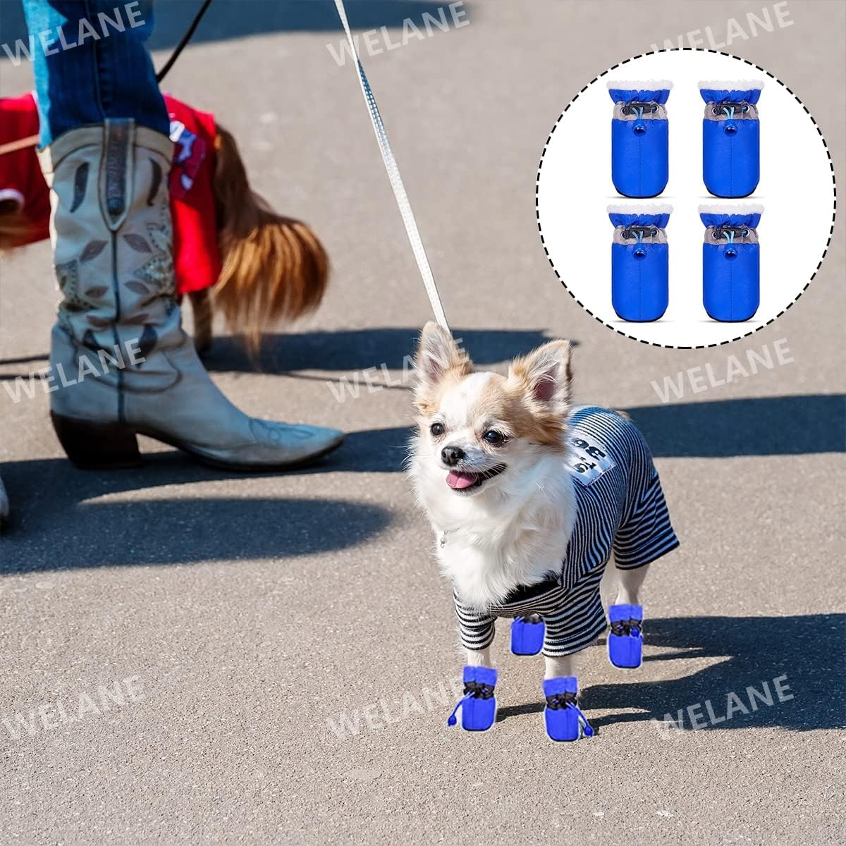 WELANE Winter Dog Boots, 4 PCS Adjustable Winter Paw Protectors for Puppy -Waterproof, Non-Slip, Warm (Blue)