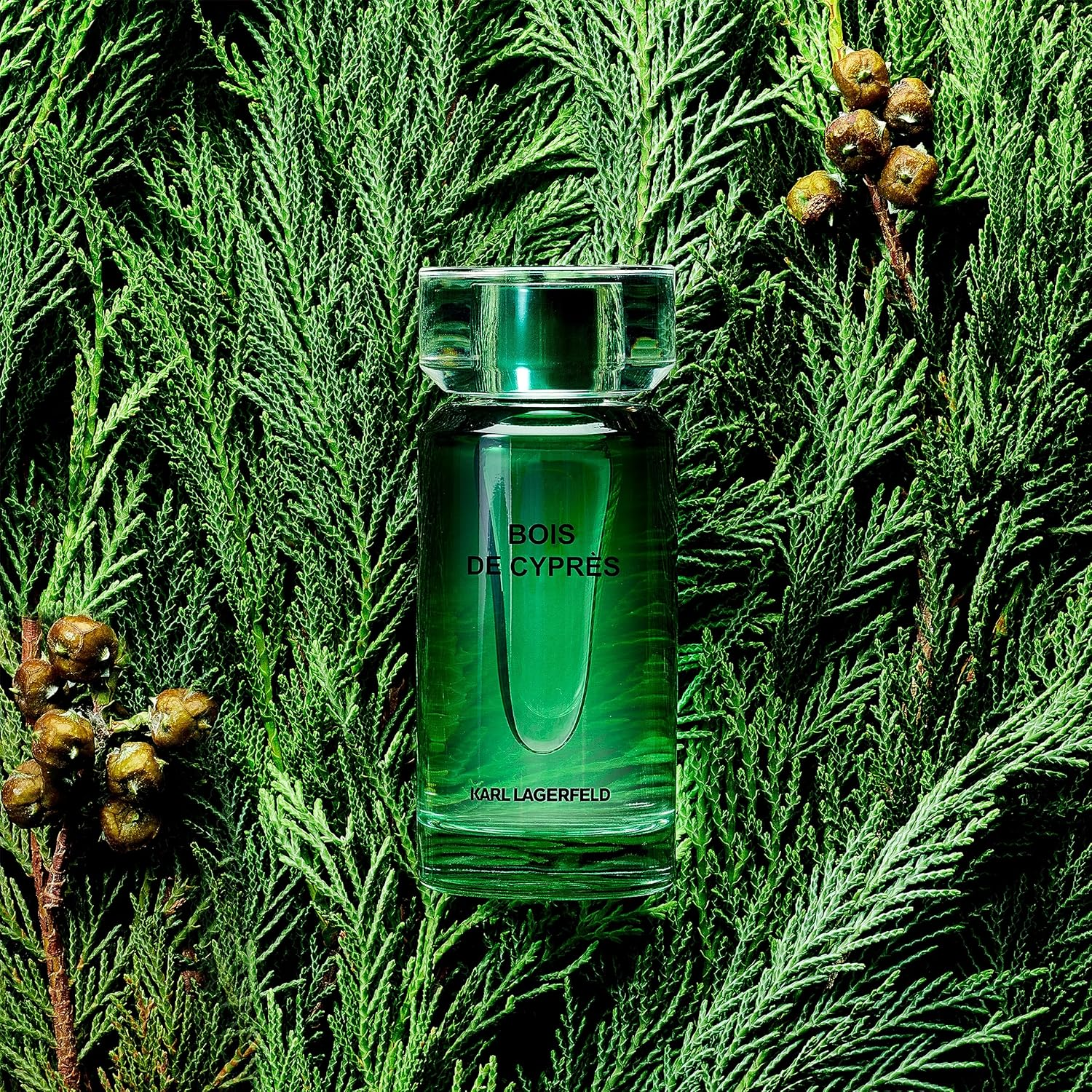 Bois De Cypr&egrave;s Eau De Toilette 50Ml image number 3