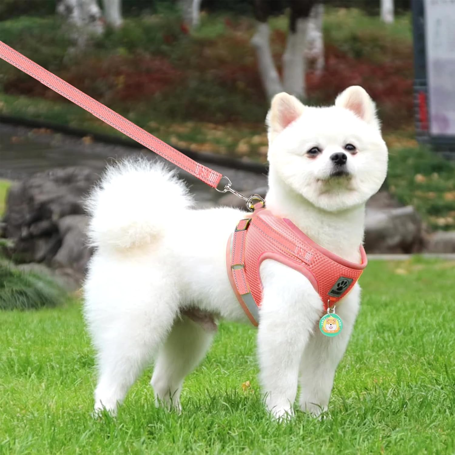 Grantop Cat Lead Set for Cats, Polyester Adjustable Cat Harness with Lead, Cat Vest with Reflective Strips for Kittens, Dogs (Pink, L) image number 5