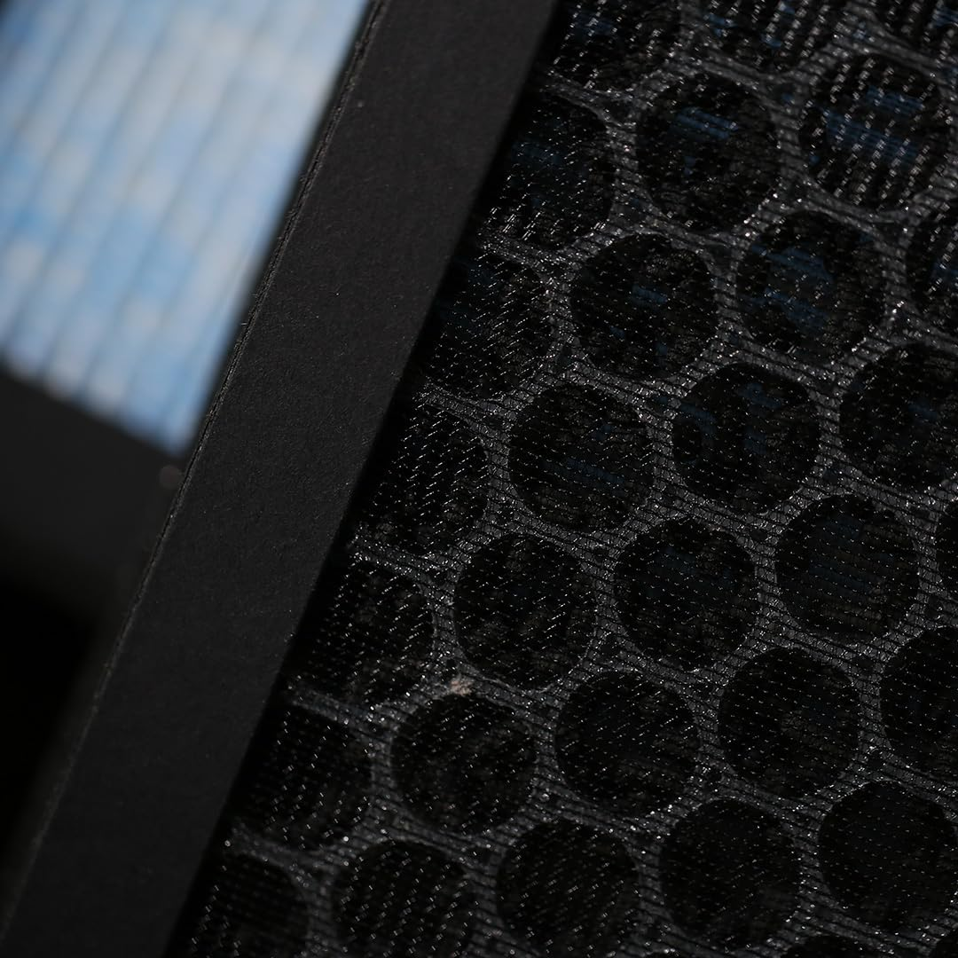 VION Model 3/Y HEPA Activated Carbon Air Filters - 2 Packs with the Model 3 and Model Y Removal Tools