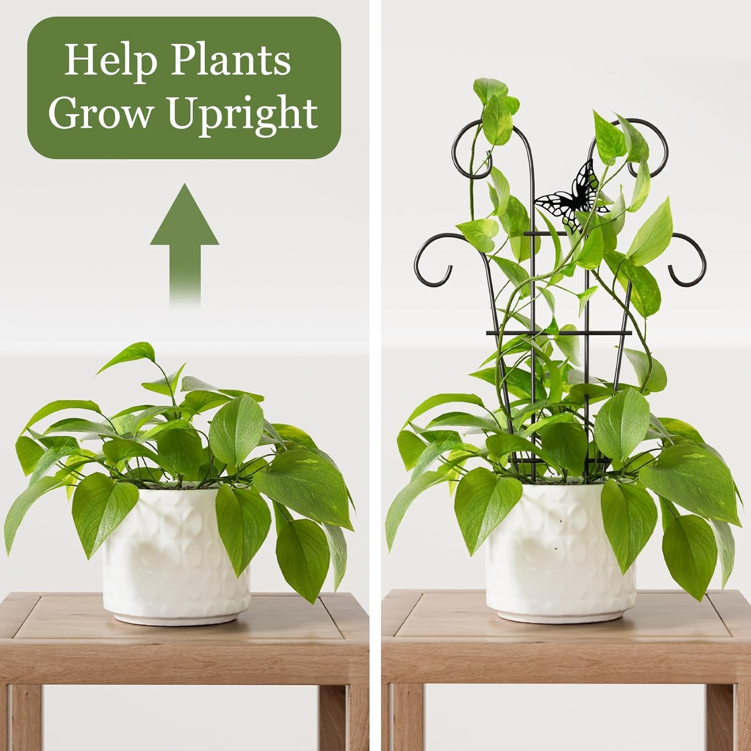 Indoor Plant Trellis for Climbing Plants, Stackable Garden Trellis for Potted Plants, Small House Plant Trellis for Vine Ivy Flower Plant Support Outdoor DIY Metal Trellis 3 Pack, Butterfly Design image number 5