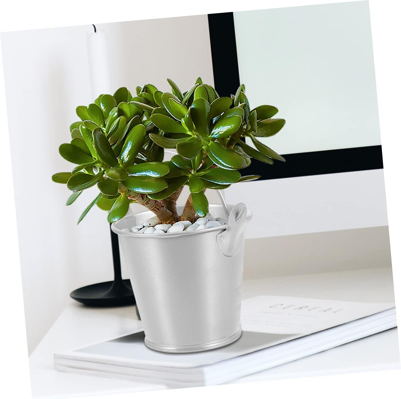 BRIGHTFUFU 5Pcs Mini Galvanized Tin Buckets with Handle for Succulent Plants and Candy Party Favors, Small Metal Planters Flower Holders for Wedding Decorations and Crafts image number 3