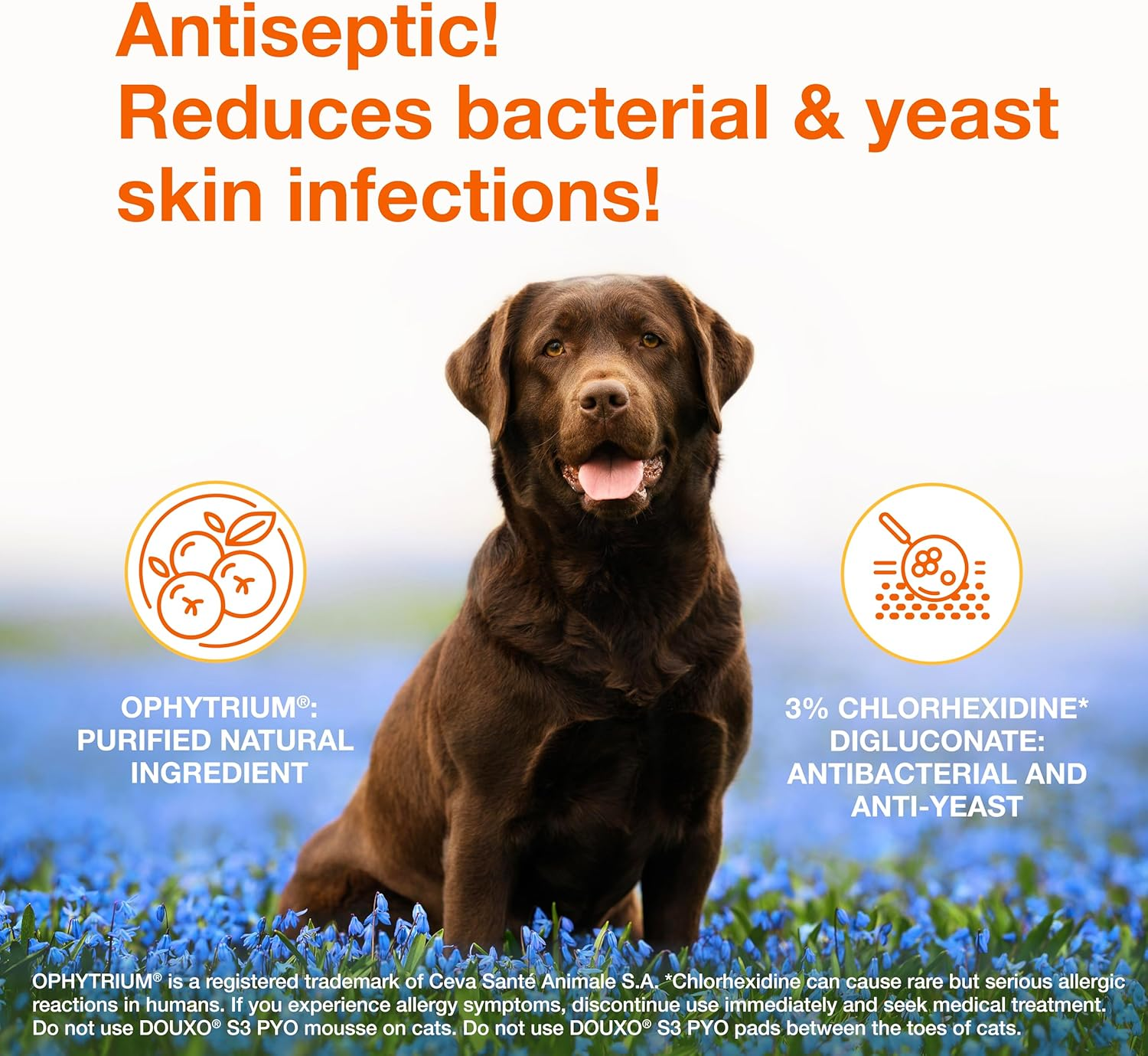 Douxo S3 PYO 30 Pads image number 5